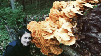 Mushroom-enhanced