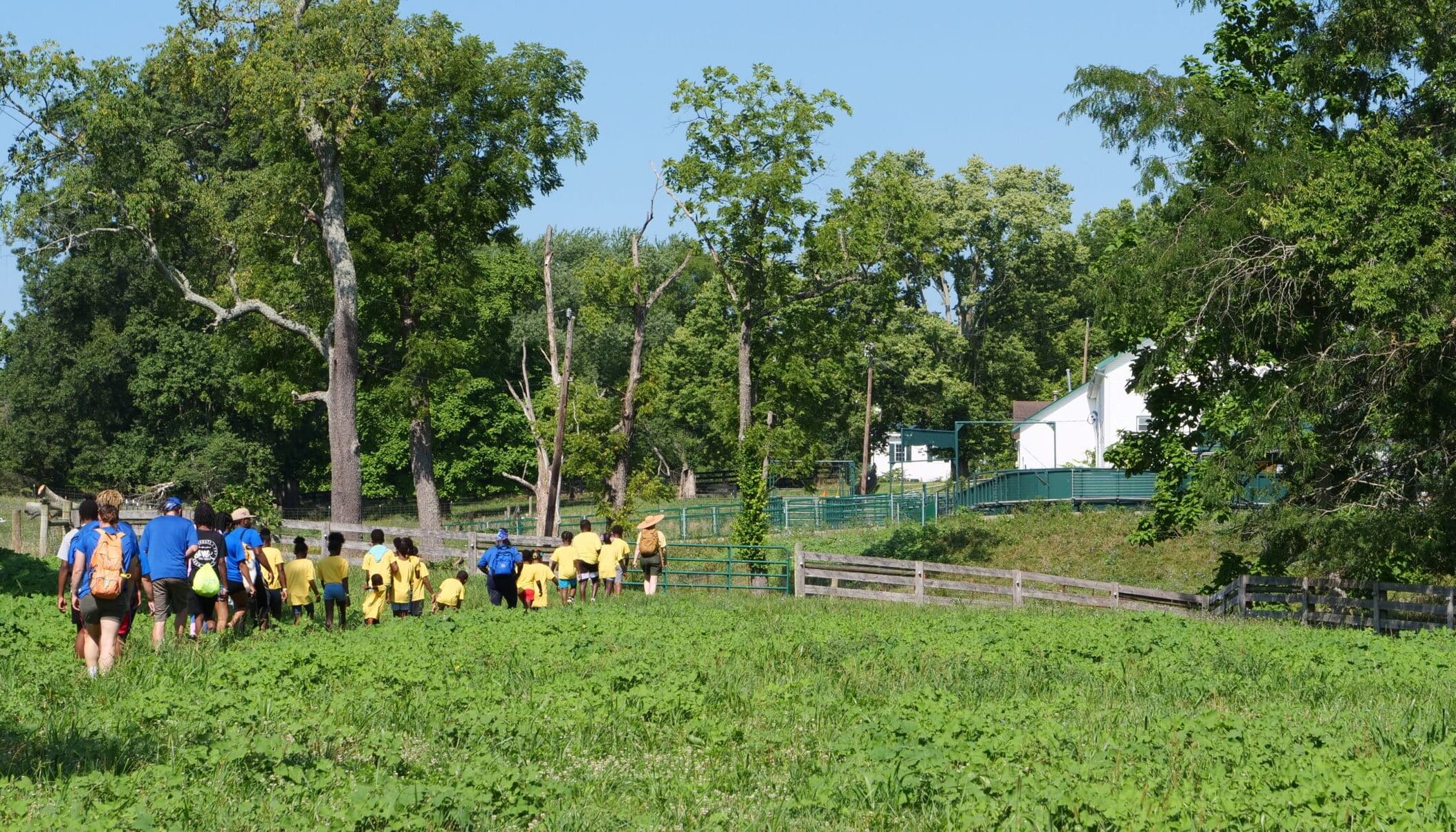 instructors lead group of children through pasture