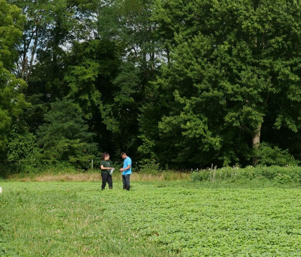 two researchers collecting soil samples