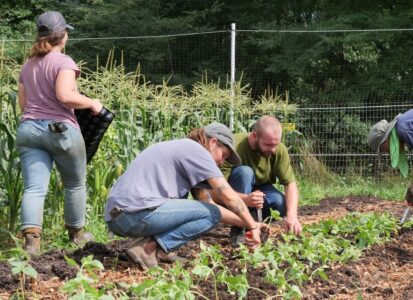 greenacres employees planting in gardens