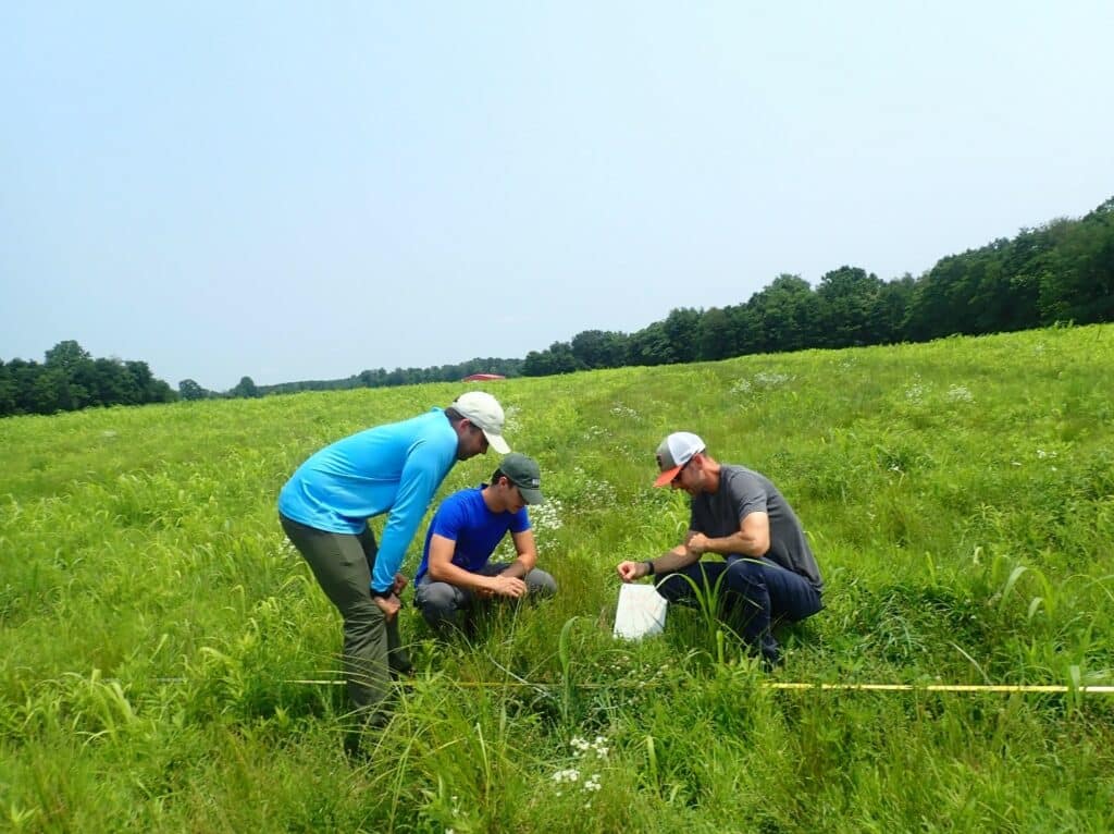 three research employees in pasture, collecting samples