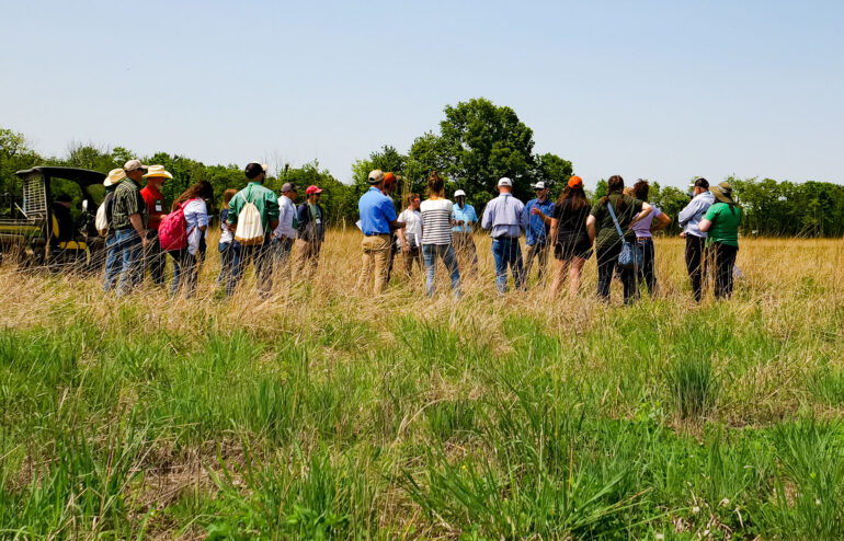 International Grasslands Congress attendees (about 20 individuals total) visiting Greenacres, standing in pasture having a group discussion