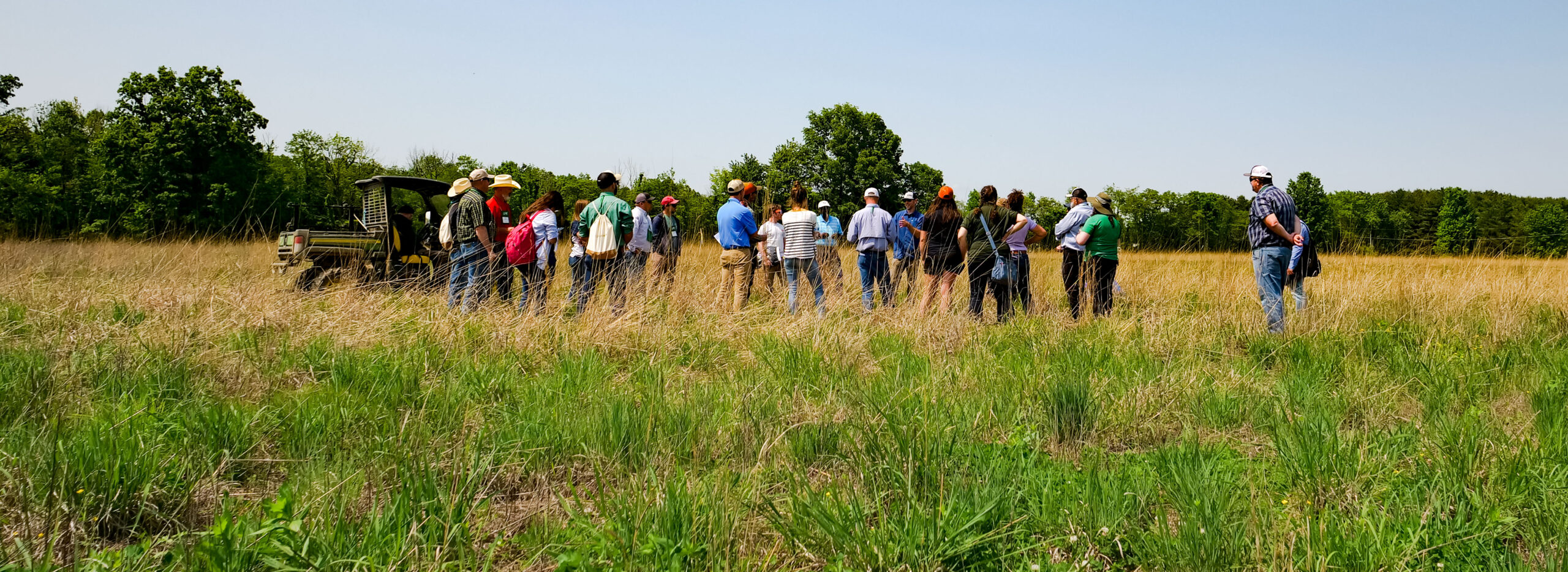 International Grasslands Congress attendees (about 20 individuals total) visiting Greenacres, standing in pasture having a group discussion