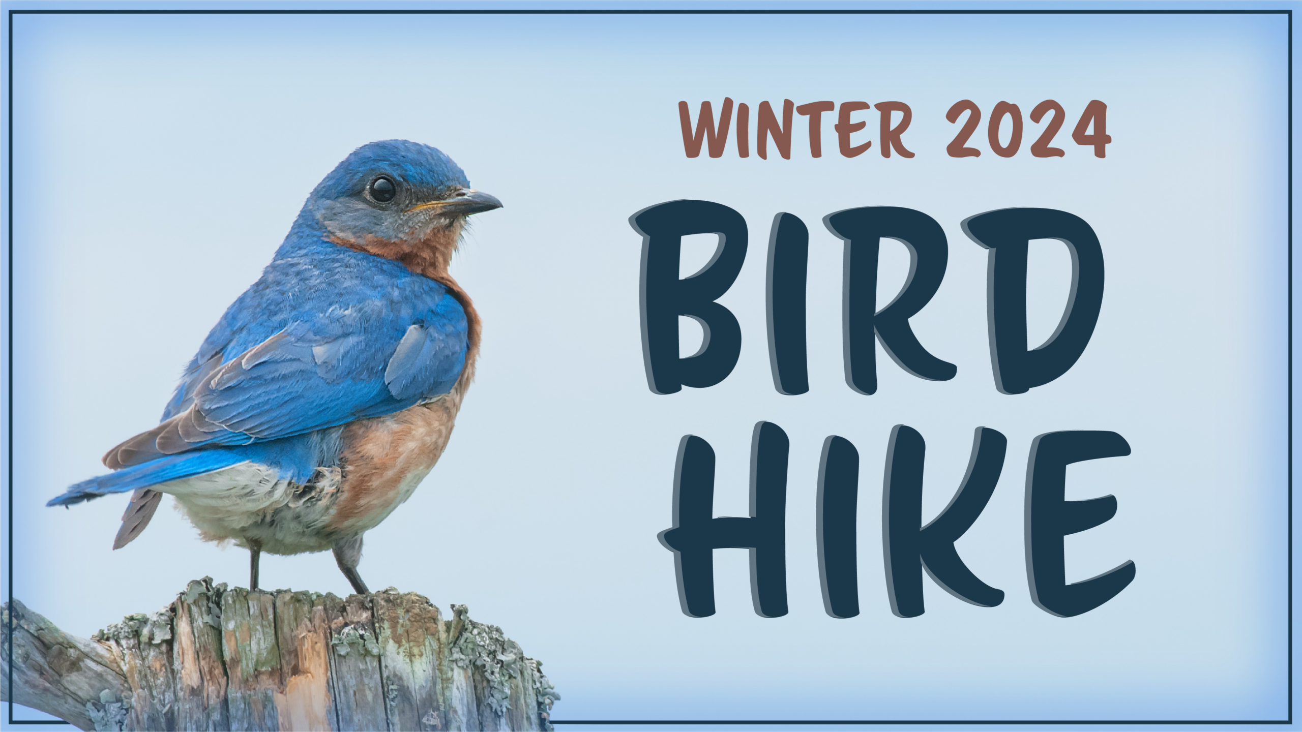 Winter 2024 Bird Hike Event Banner