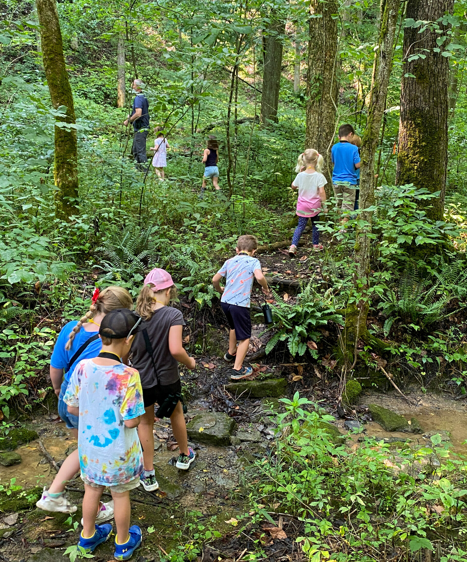 Greenacres field trip group hiking through the woods at Lewis Township