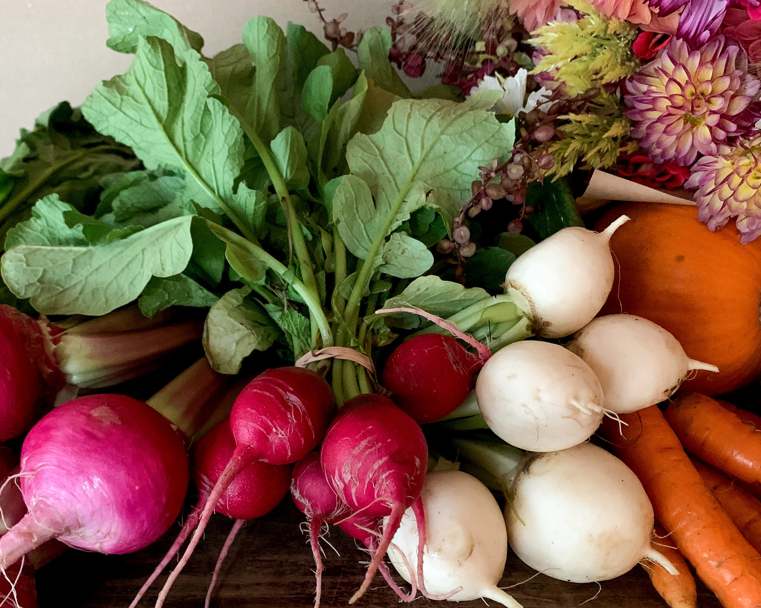 Fresh greens, beets, radishes, turnips, carrots, garlic, pumpkin, and flowers